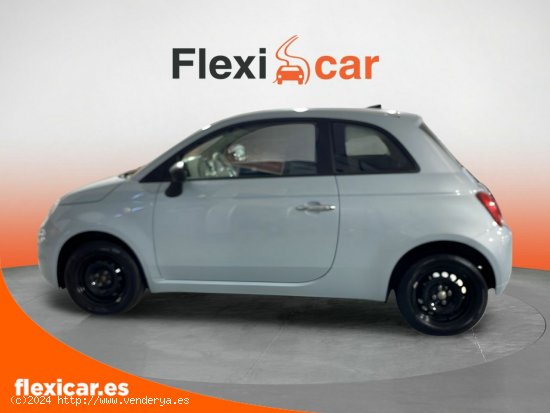 Fiat 500 Cult 1.0 Hybrid 51KW (70 CV) - Alicante