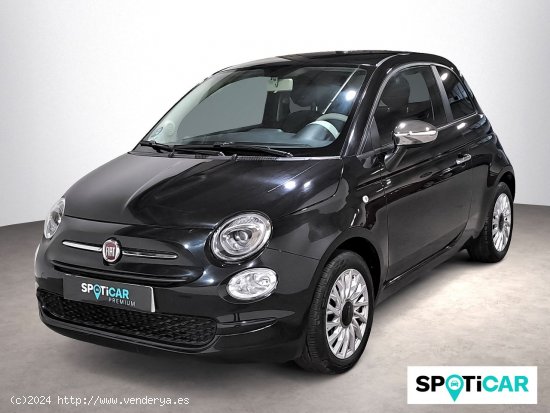 Fiat 500 Monotrim 1.0 Hybrid 51KW (70 CV) - Sabadell