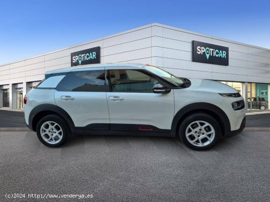 Citroën C4 Cactus  PureTech 110 S&S Shine - Figueres