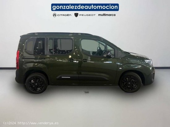 Citroën Berlingo  Talla M BlueHDi 100 S&S Plus - Úbeda