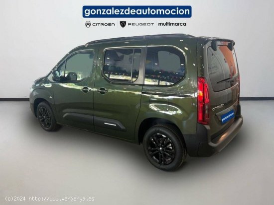 Citroën Berlingo  Talla M BlueHDi 100 S&S Plus - Úbeda