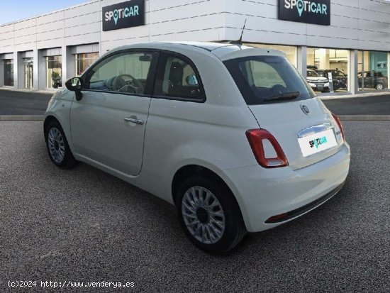 Fiat 500 1.0 MHEV DOLCEVITA 3P - Alicante