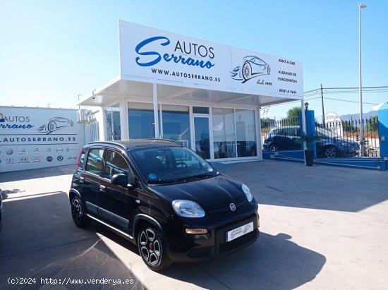 Fiat Panda CITY 1.0 GSE 70CV HYBRID - Manilva