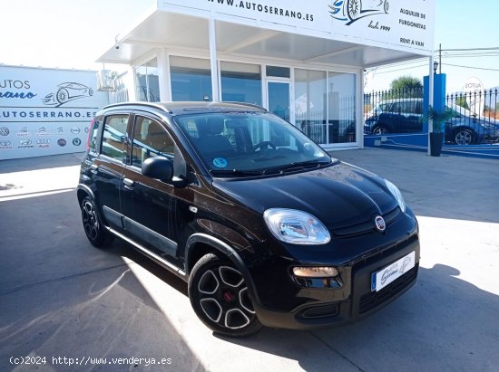 Fiat Panda CITY 1.0 GSE 70CV HYBRID - Manilva