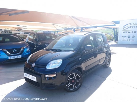 Fiat Panda CITY 1.0 GSE 70CV HYBRID - Manilva