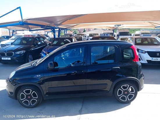 Fiat Panda CITY 1.0 GSE 70CV HYBRID - Manilva