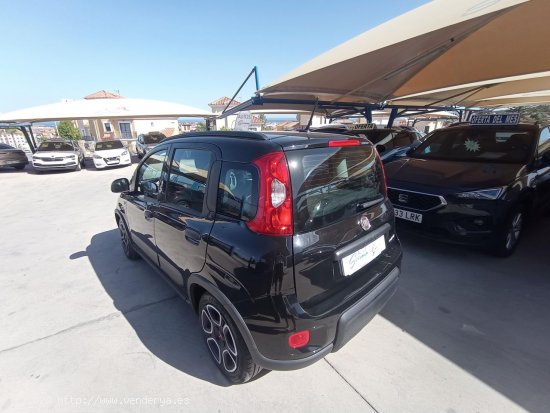 Fiat Panda CITY 1.0 GSE 70CV HYBRID - Manilva