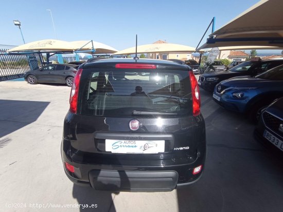 Fiat Panda CITY 1.0 GSE 70CV HYBRID - Manilva