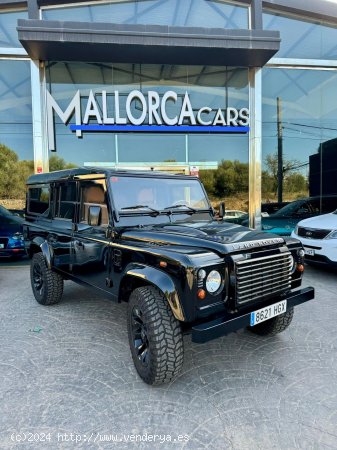 Land-Rover Defender 110 - Palma