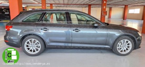 AUDI A4 Avant en venta en Prat de Llobregat (Barcelona) - Prat de Llobregat