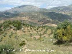 Terreno rustico en Alora - MALAGA