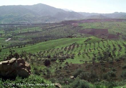 Terreno rustico en Alora - MALAGA