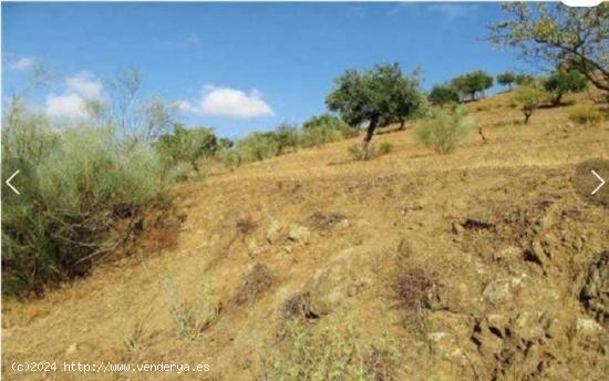 Finca rustica en Alora - MALAGA