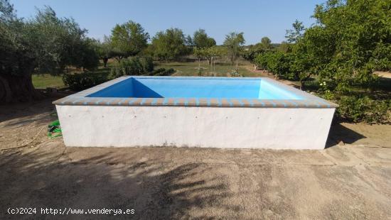 Chalet en Partida La Solana - Ontinyent - VALENCIA