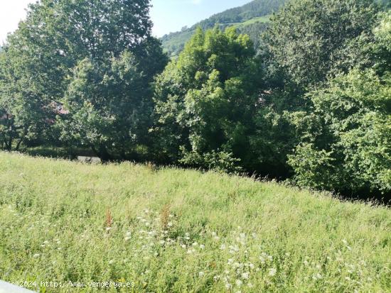 Terreno edificable en Lloreda de Cayon - CANTABRIA