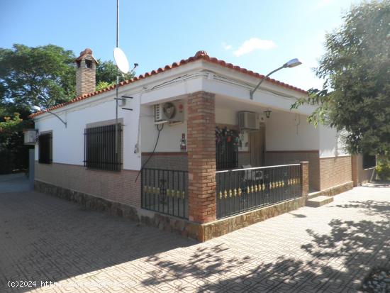 Se Vende en Argamasilla de Calatrava - CIUDAD REAL