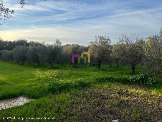 MAGNIFICA CASA CON TERRENO EN EL MANANTÍO!!! - BADAJOZ