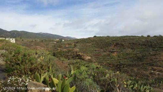  Terreno rústico en venta en Charco del Pino - SANTA CRUZ DE TENERIFE 