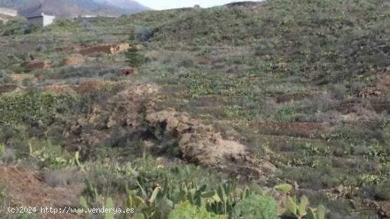 Terreno rústico en venta en Charco del Pino - SANTA CRUZ DE TENERIFE