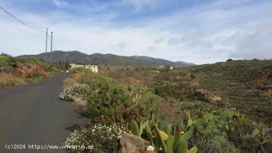 Terreno rústico en venta en Charco del Pino - SANTA CRUZ DE TENERIFE