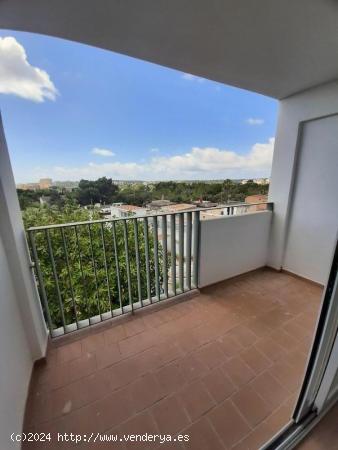 Bajos con jardín y piscina comunitaria en calle Alzina, 8, bajos 5ª, Cala Millor. - BALEARES