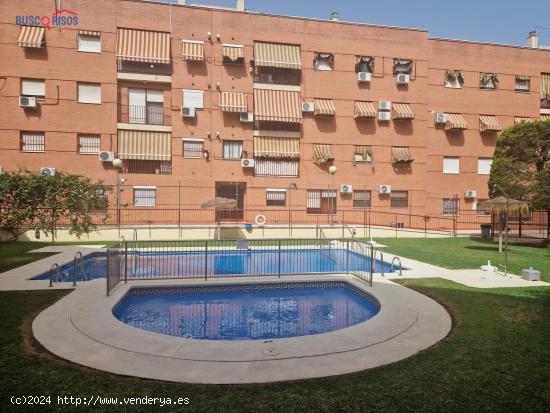  PISO EN URBANIZACION PERLAS III ZONA BAJA PLG. GUADALQUIVIR - CORDOBA 