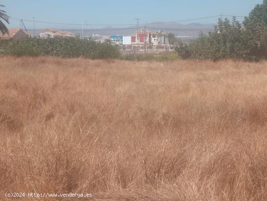 Terreno en Purias, Urb La Almenara - MURCIA