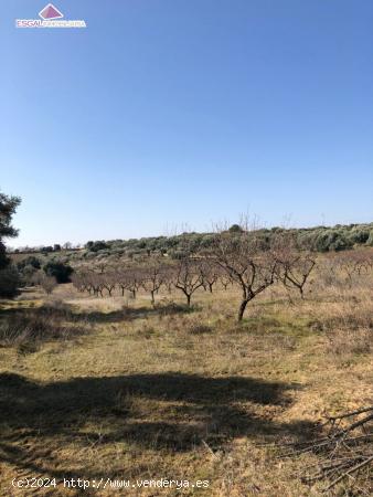 Se vende Finca Rústica cercana a Barbastro - HUESCA