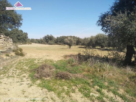  Se vende finca rústica 1.7 hectareas en Castillazuelo - HUESCA 