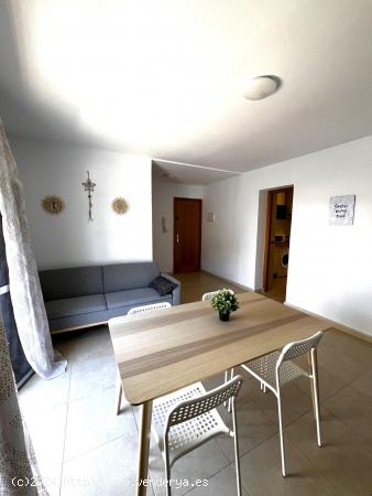  ☀🐬 APARTAMENTO ALEGRÍA 4 🐬☀ - CADIZ 