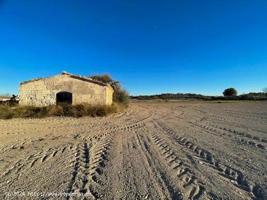 FINCA RÚSTICA - CAN PICAFORT - BALEARES