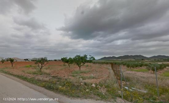 Terreno en venta en Paraje de Espinar, Diputacion de Media, Fuente Álamo De Murcia - MURCIA