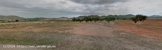 Terreno en venta en Paraje de Espinar, Diputacion de Media, Fuente Álamo De Murcia - MURCIA