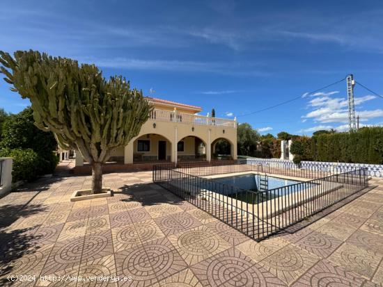 FINCA EN ALQUILER PARA TODO EL AÑO EN CREVILLENTE - ALICANTE