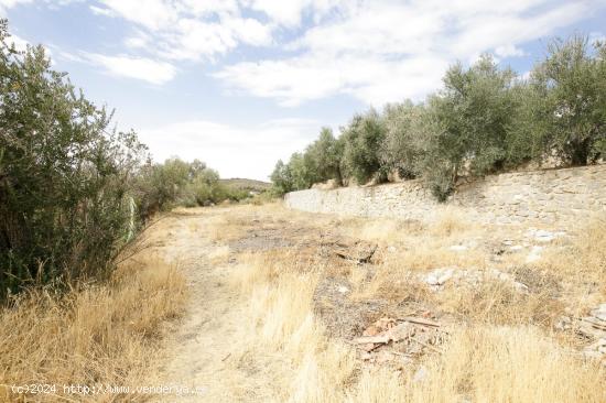 GRAN PARCELA EN HUETOR-SANTILLAN - GRANADA