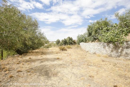 GRAN PARCELA EN HUETOR-SANTILLAN - GRANADA