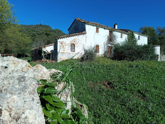  VENTA FINCA RÚSTICA EN LOS ALREDEDORES DE UBRIQUE - CADIZ 