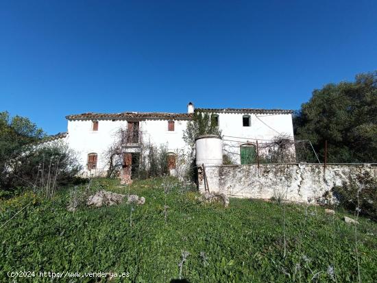 VENTA FINCA RÚSTICA EN LOS ALREDEDORES DE UBRIQUE - CADIZ