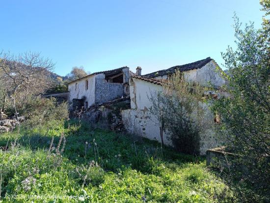 VENTA FINCA RÚSTICA EN LOS ALREDEDORES DE UBRIQUE - CADIZ