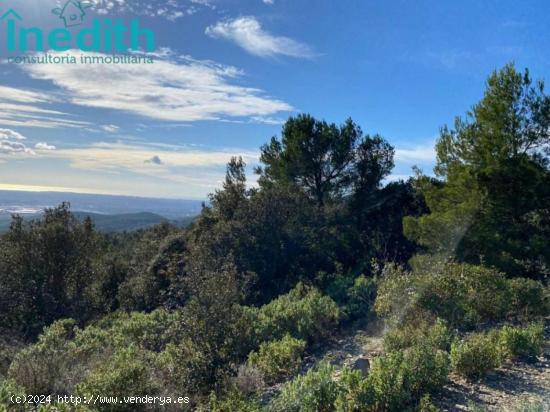  rustico en Figuerola del Camp - TARRAGONA