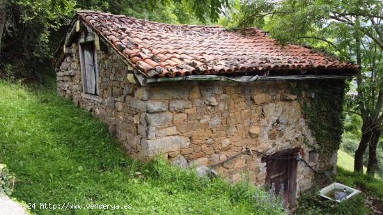  FINCAS CON CABAÑAS, CUADRA Y PAJAR EN EL ENCANTADOR PUEBLO DE CUÉRIGO, ALLER. ASTURIAS. - ASTURIAS 