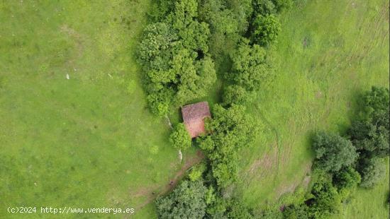 FINCAS CON CABAÑAS, CUADRA Y PAJAR EN EL ENCANTADOR PUEBLO DE CUÉRIGO, ALLER. ASTURIAS. - ASTURIAS