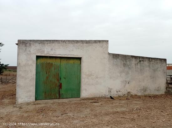  VENTA DE TERRENO SEGREGADO EN VENTA LA RAYA - CADIZ 