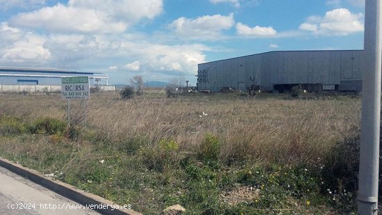 Otro en alquiler  en Vilamalla - Girona