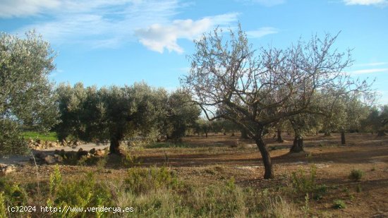  Suelo rústico en venta  en Aldea, L - Tarragona 