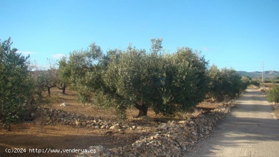 Suelo rústico en venta  en Aldea, L - Tarragona