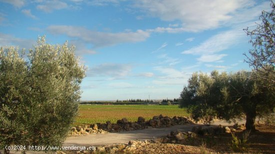 Suelo rústico en venta  en Aldea, L - Tarragona