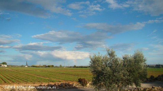 Suelo rústico en venta  en Aldea, L - Tarragona