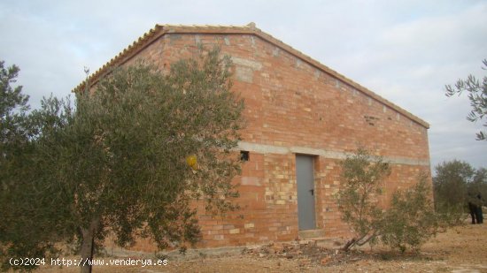  Suelo rústico en venta  en Camarles - Tarragona 