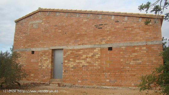 Suelo rústico en venta  en Camarles - Tarragona